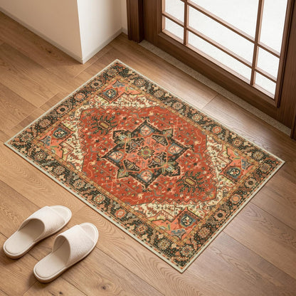 Distressed Vintage Doormat – Washable Non-Slip Entryway Rug
