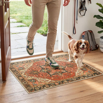 Distressed Vintage Doormat – Washable Non-Slip Entryway Rug